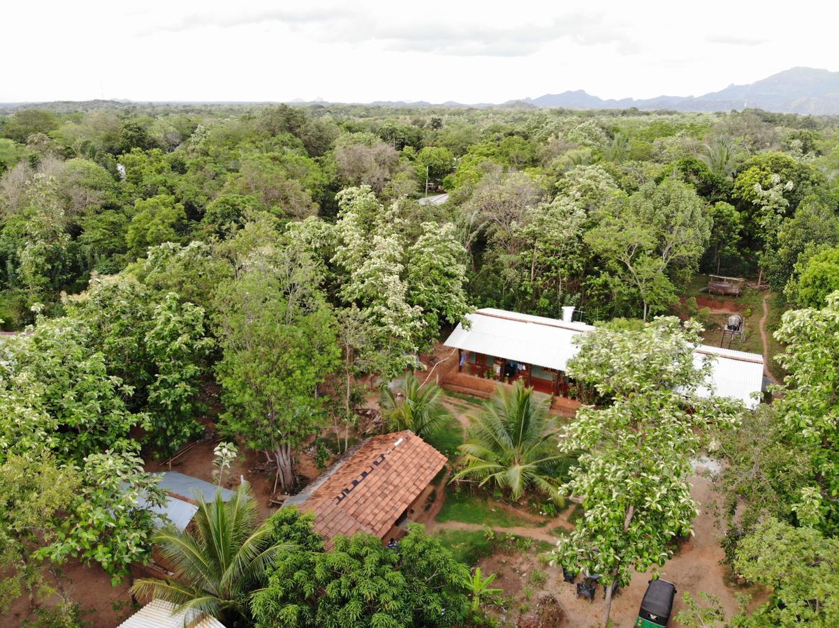 Araliya Self Cooking Resort Dambulla Exterior photo